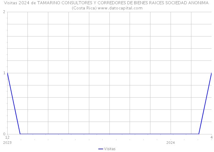 Visitas 2024 de TAMARINO CONSULTORES Y CORREDORES DE BIENES RAICES SOCIEDAD ANONIMA (Costa Rica) 