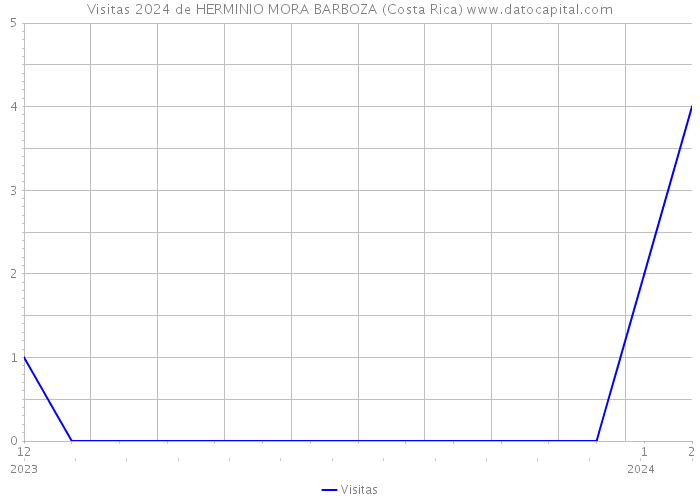 Visitas 2024 de HERMINIO MORA BARBOZA (Costa Rica) 
