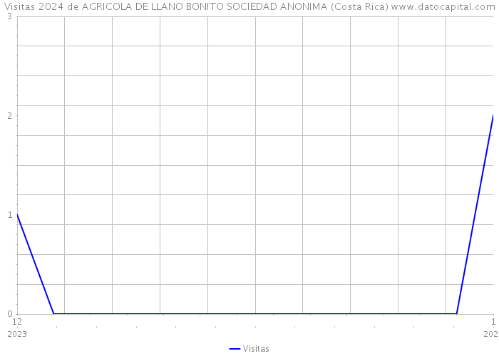 Visitas 2024 de AGRICOLA DE LLANO BONITO SOCIEDAD ANONIMA (Costa Rica) 