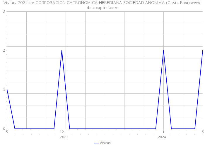 Visitas 2024 de CORPORACION GATRONOMICA HEREDIANA SOCIEDAD ANONIMA (Costa Rica) 