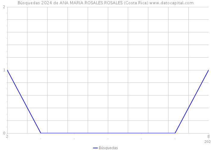 Búsquedas 2024 de ANA MARIA ROSALES ROSALES (Costa Rica) 