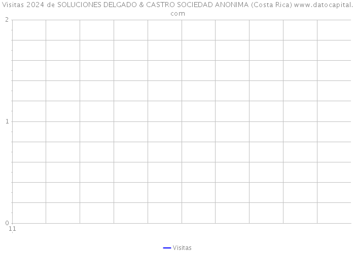 Visitas 2024 de SOLUCIONES DELGADO & CASTRO SOCIEDAD ANONIMA (Costa Rica) 