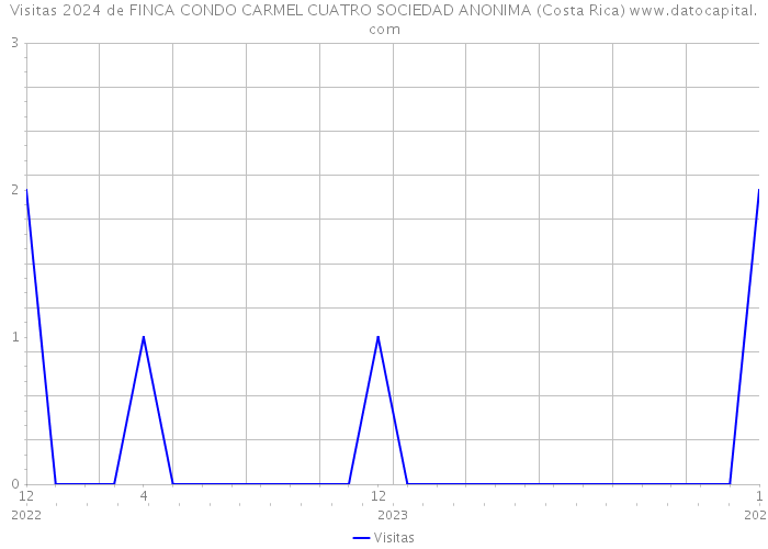 Visitas 2024 de FINCA CONDO CARMEL CUATRO SOCIEDAD ANONIMA (Costa Rica) 