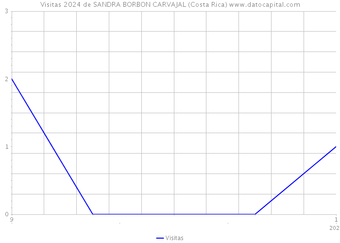 Visitas 2024 de SANDRA BORBON CARVAJAL (Costa Rica) 