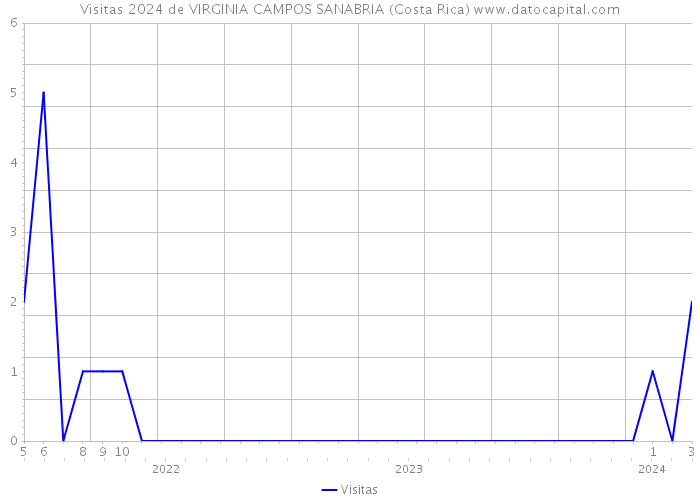 Visitas 2024 de VIRGINIA CAMPOS SANABRIA (Costa Rica) 