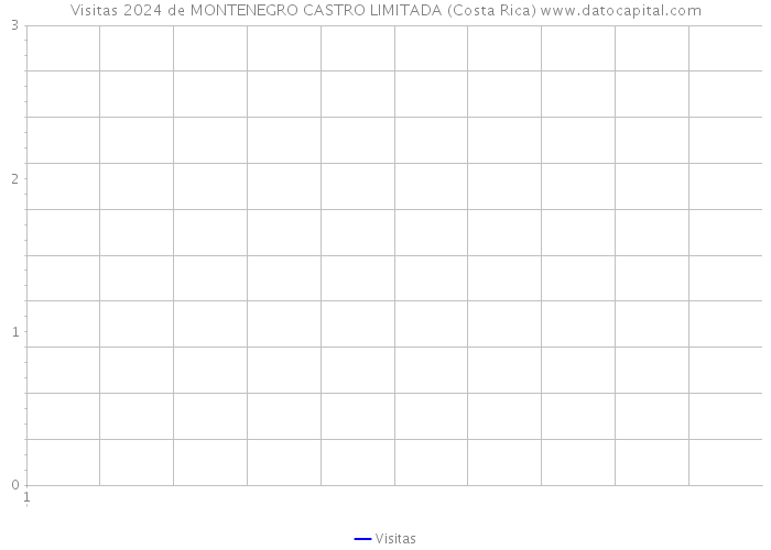Visitas 2024 de MONTENEGRO CASTRO LIMITADA (Costa Rica) 